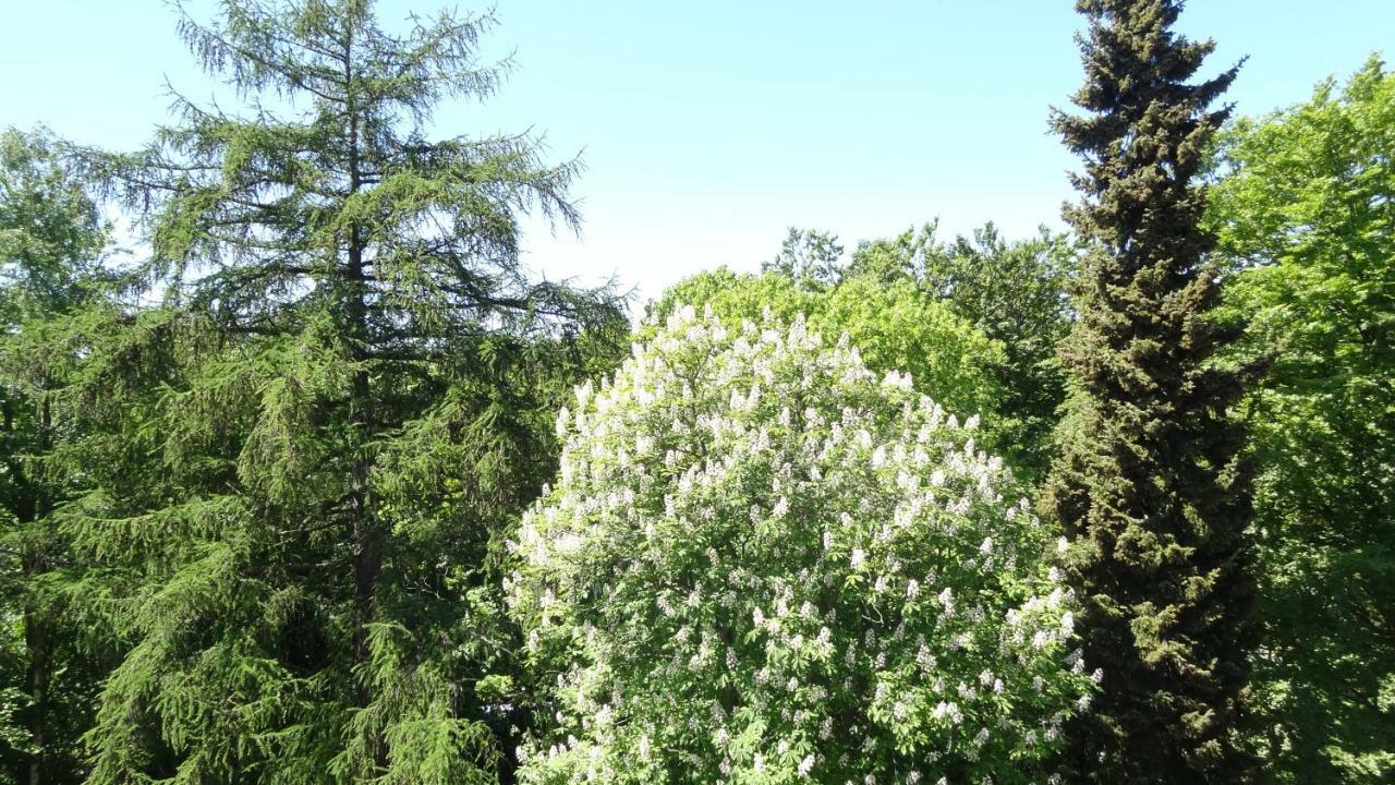 Waldschloss Parow Koserow エクステリア 写真